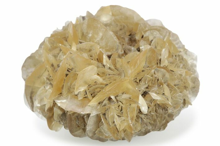 Twinned Selenite Crystals (Fluorescent) - Red River Floodway #242610